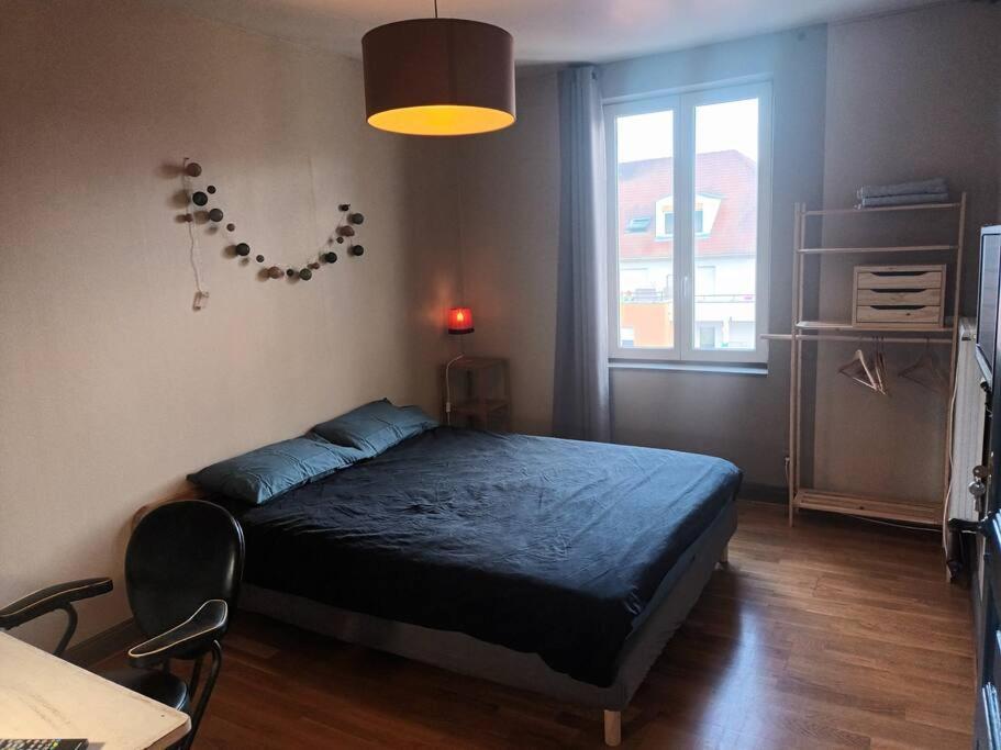 Le Schauenberg Apartment Colmar Exterior photo